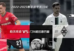 德国勒沃库森主场击败荷兰费耶诺德了吗